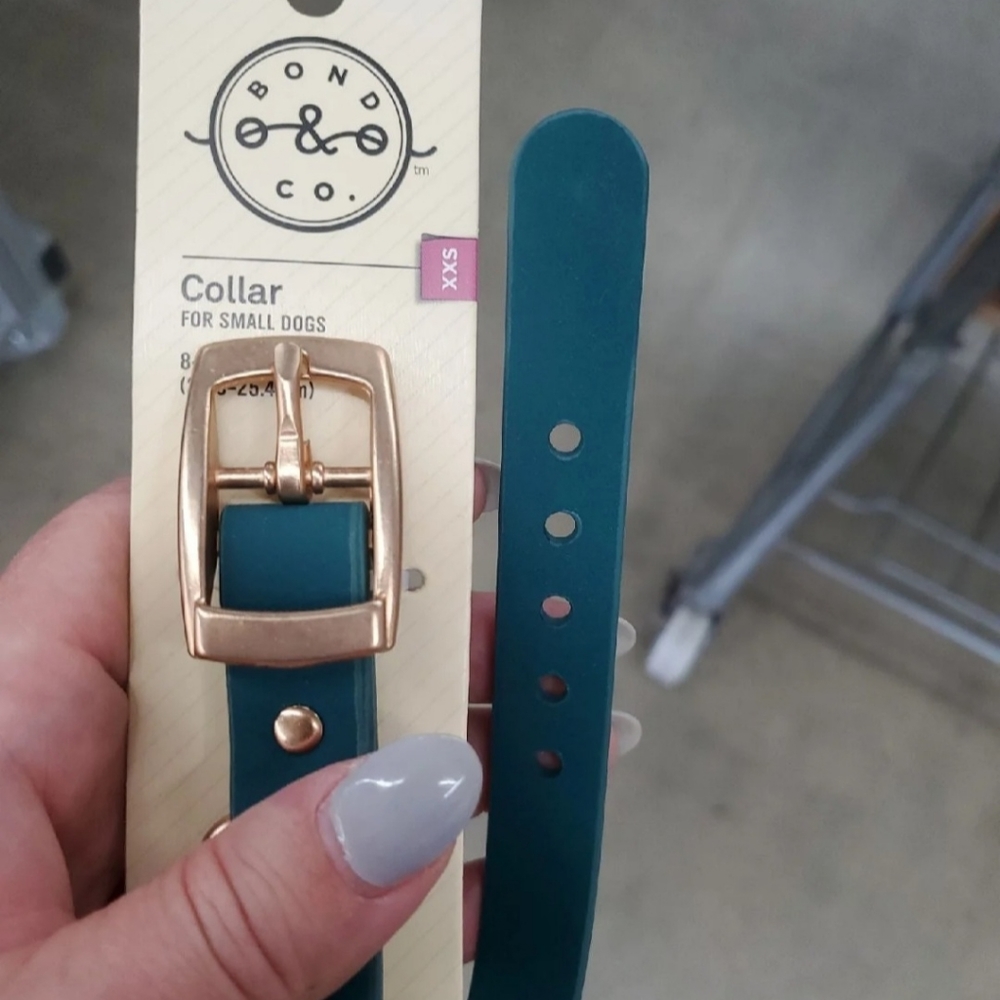 Dog collars - Picture 3 of 4